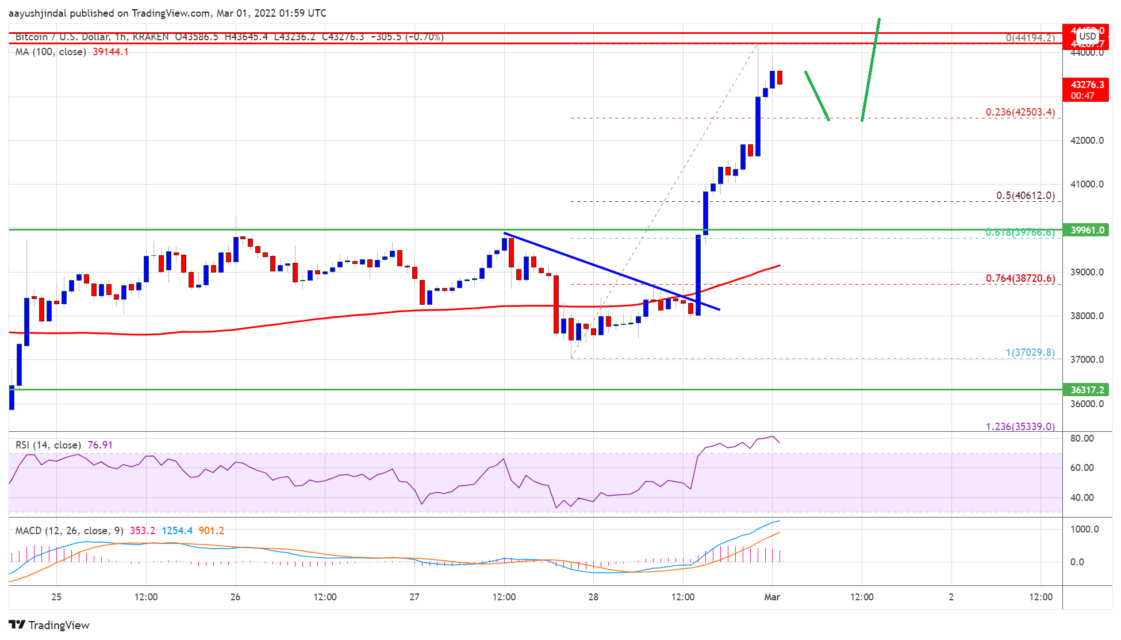 bitcoin btc fiyat analizi buyuk bir yukselis yasadi sirada ne var 1 mart 2022 t