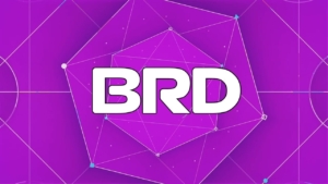 BRD Coin Nedir? Bread (BRD) Coin Yorum ve Geleceği 2022