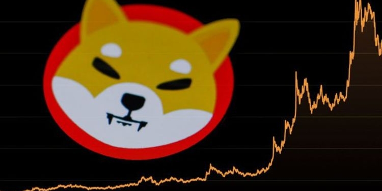 bu-gelismelere-dikkat-shiba-inu-shib-u-ucurabilir - Crypto Turkey Bu Gelişmelere Dikkat: Shiba Inu (SHIB)’u Uçurabilir!