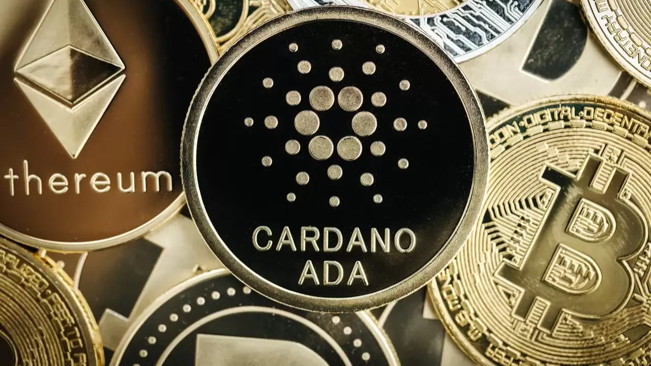 Cardano Borsası AdaSwap’a Sürpriz Bir Hollywood Yıldızından Yatırım Geldi!