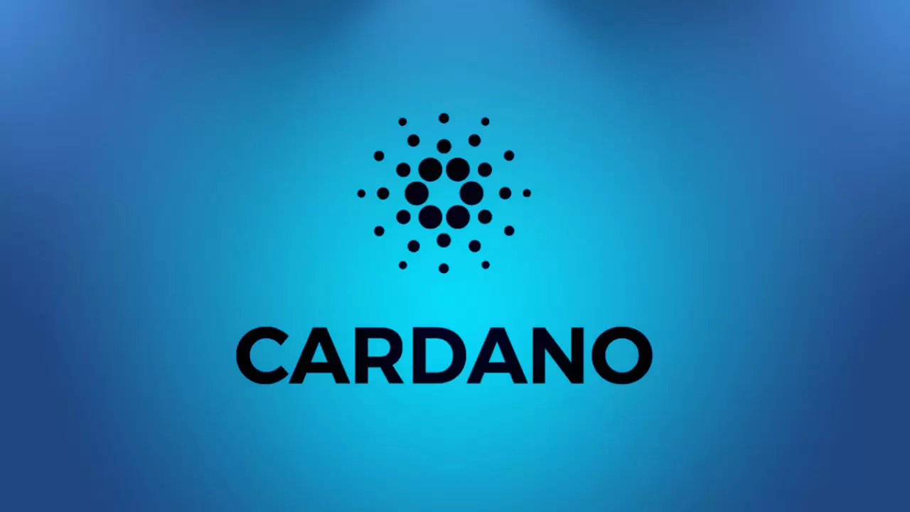 Cardano Üzerindeki Toplam Cüzdan Sayısı 3.5 Milyona Ulaştı! Ancak Bir Sorun Var