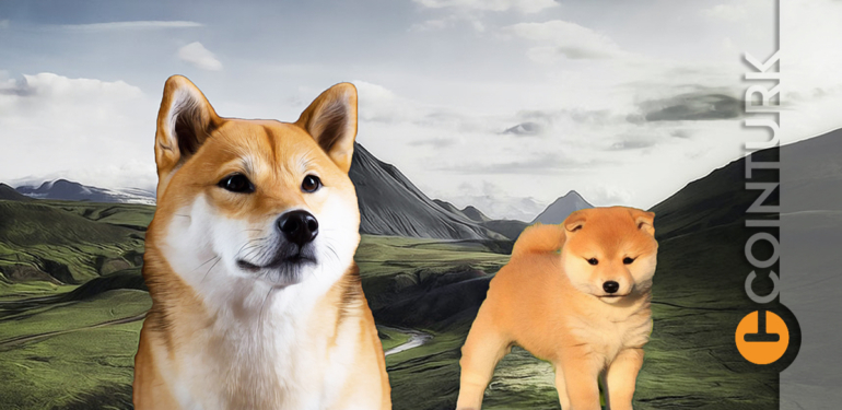 dogecoin-benzeri-meme-coinler-nereden-alinir - Crypto Turkey Dogecoin Benzeri Meme Coinler Nereden Alınır?