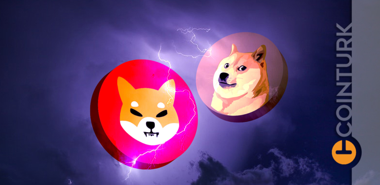 Dogecoin ve Shiba Inu Fiyat Analizi! Dogecoin (DOGE) Kaç TL?