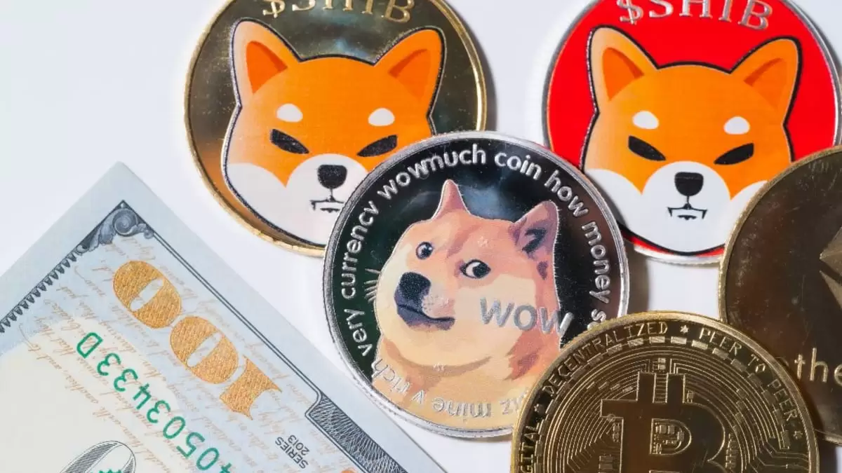 Dogecoin ve Shiba Inu Piyasada Tutunmayı Başarabilecek Mi?