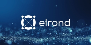 Elrond, Ödeme Şirketi Twispay’i Satın Aldı