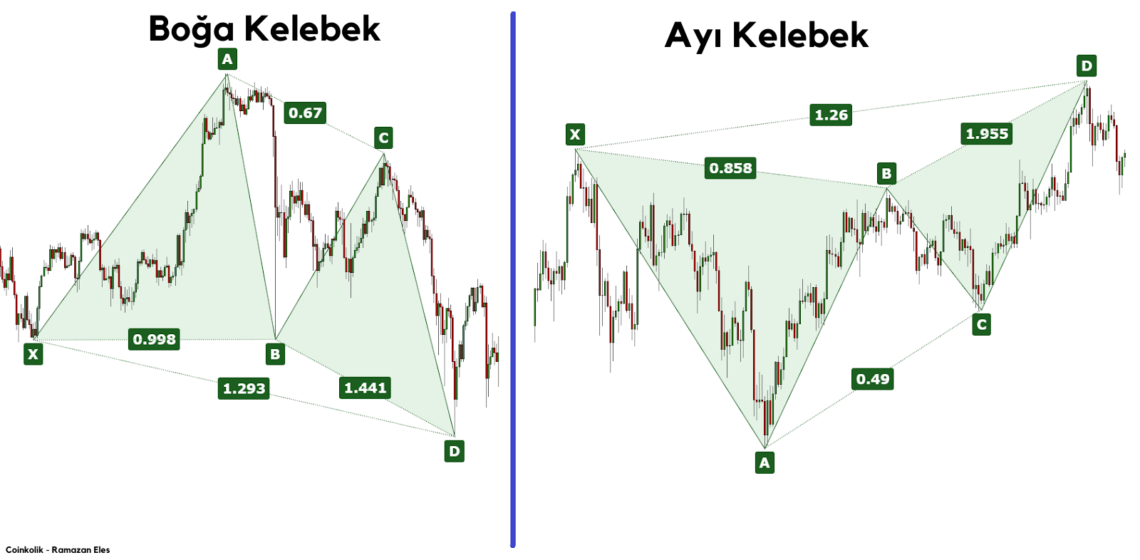 Boga Kelebek Formasyonu