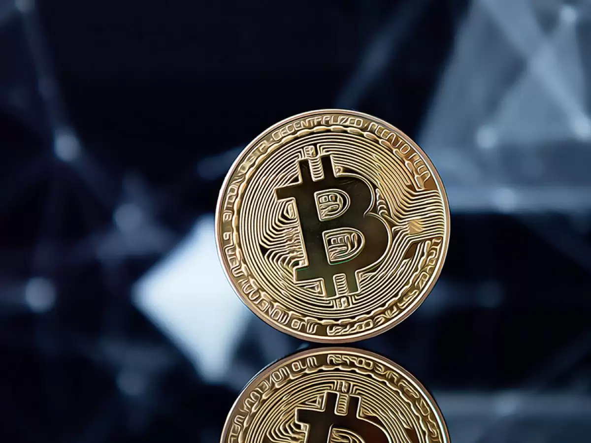 “Koşullar Bitcoin ve Kripto Paraların Benimsenmesi İçin Son Derece Uygun”