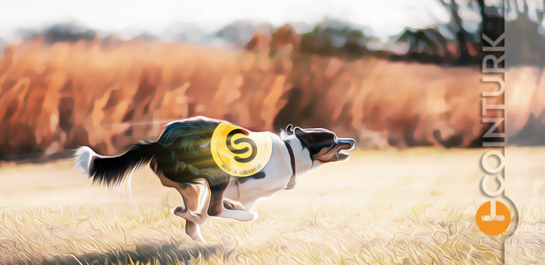 Popüler Altcoin Ralli Öncesi Bu Seviyeleri Görebilir!