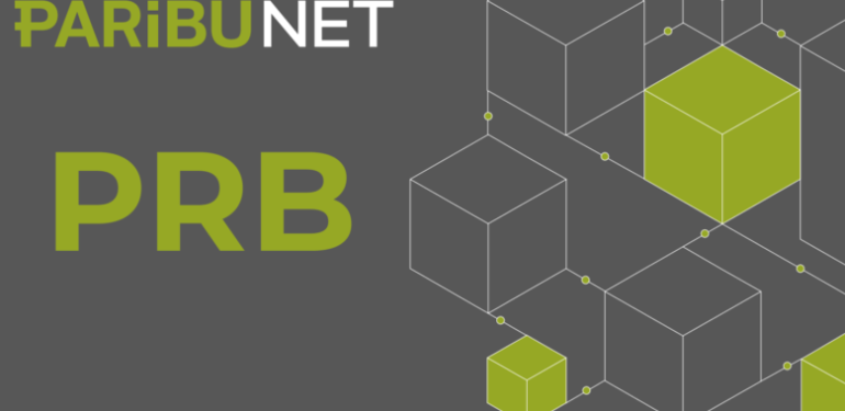 PRB Coin Yorum: Paribu Coin (PRB) Ön Satış Fiyatı Ne Kadar? PRB Coin Fiyatı Nedir?