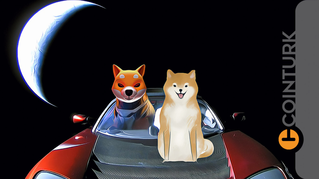 Shiba Coin veya Dogecoin Değil! Gözler Bu Meme Tokene Çevrildi!