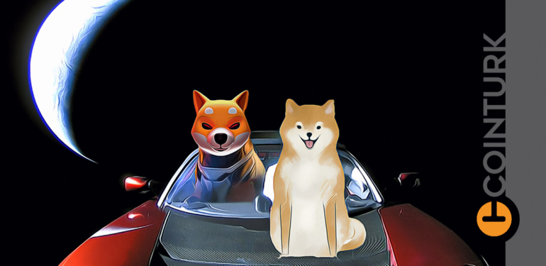 Shiba Coin veya Dogecoin Değil! Gözler Bu Meme Tokene Çevrildi!