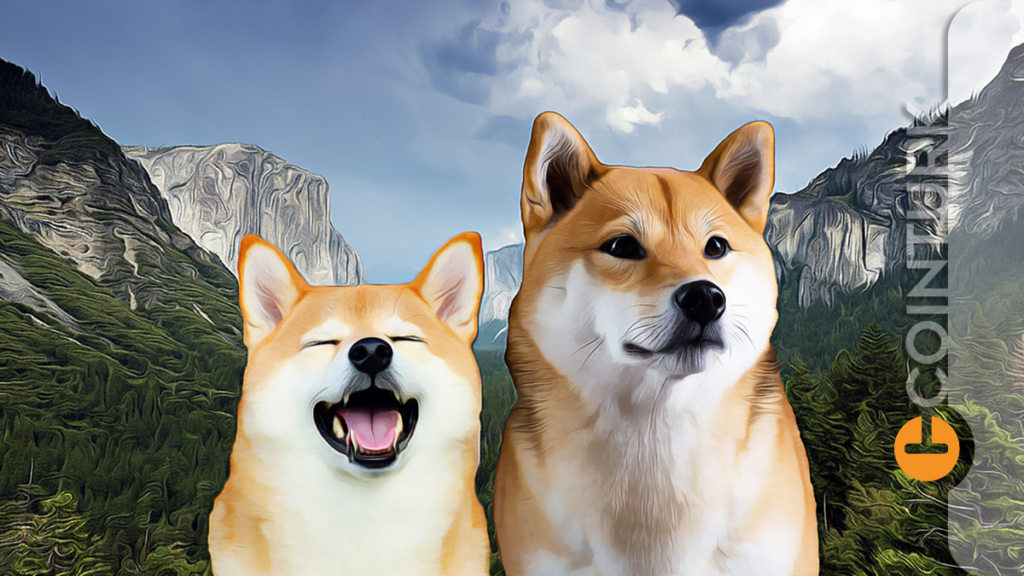 Shiba Coin Yorumları! Dogecoin (DOGE) Grafik!