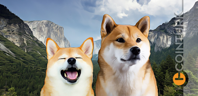 shiba-coin-yorumlari-dogecoin-doge-grafik - Crypto Turkey Shiba Coin Yorumları! Dogecoin (DOGE) Grafik!