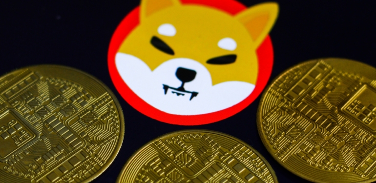 shiba-inu-nedir-bone-ve-leash-ne-ise-yarar - Crypto Turkey Shiba Inu Nedir? BONE ve LEASH Ne İşe Yarar?