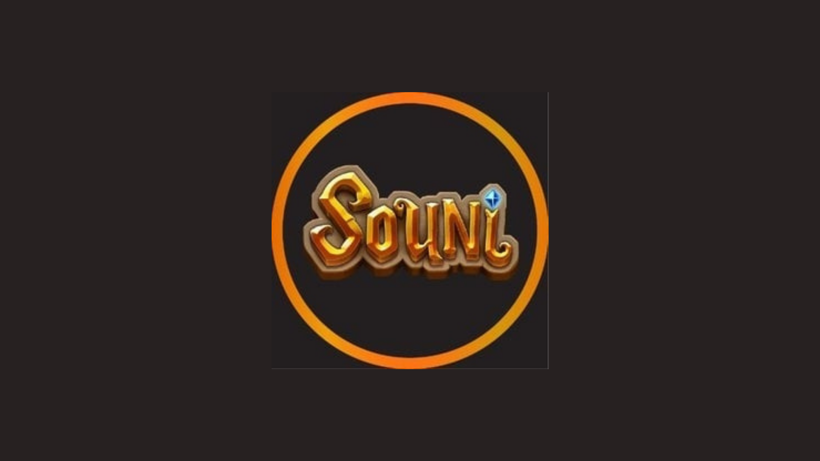 souni crypto