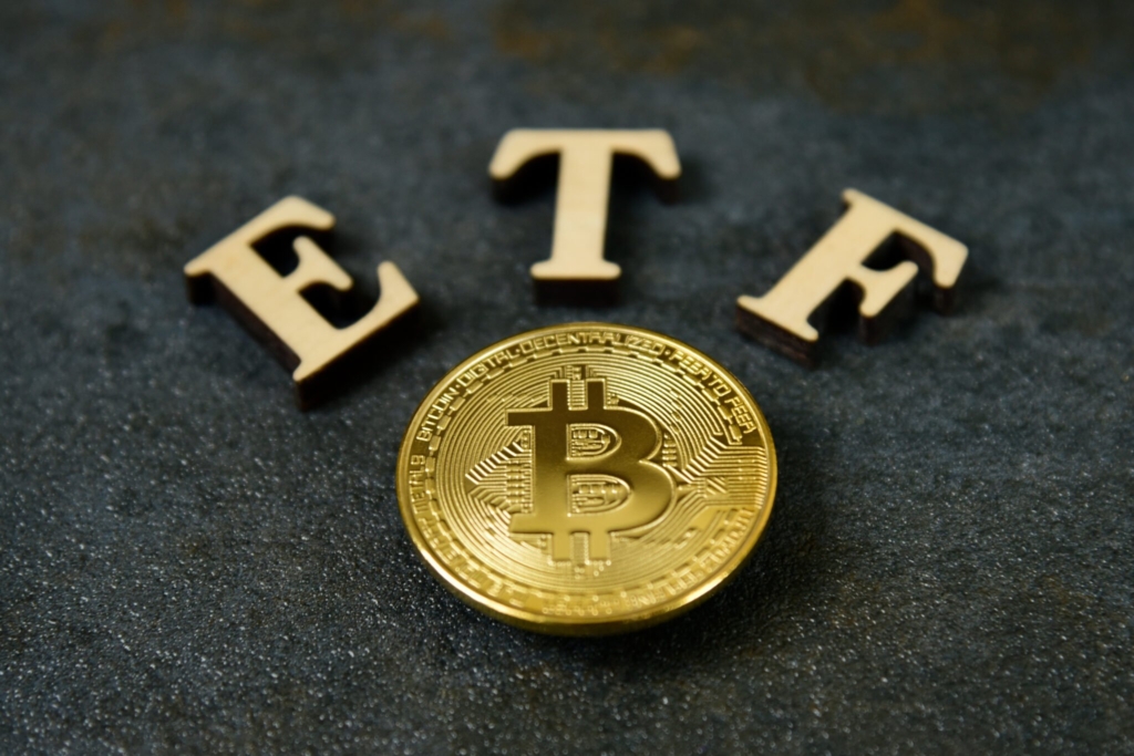 VanEck CEO’su: SEC, Bitcoin Spot ETF’sini Rehin Tutuyor