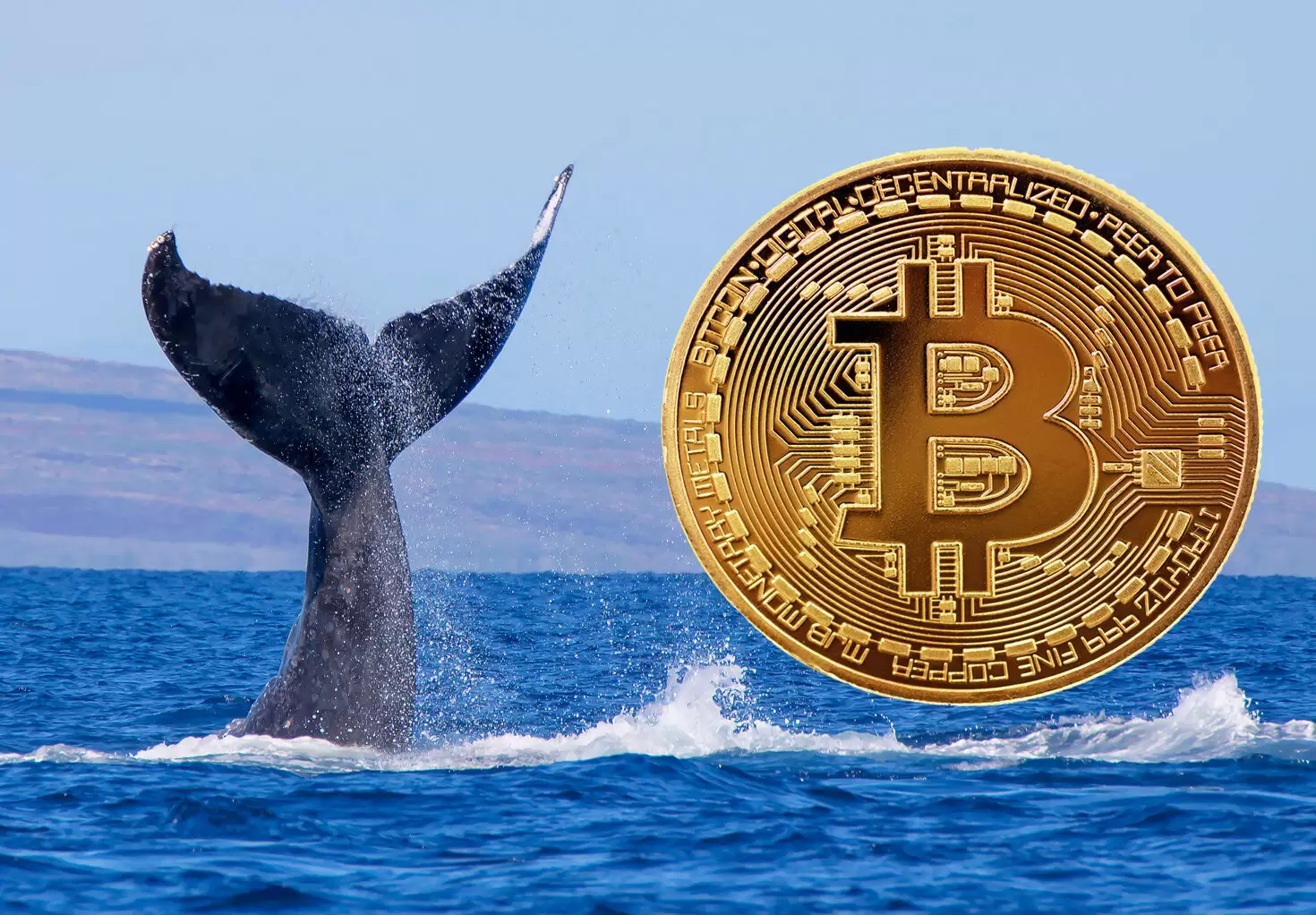 Bitcoin (BTC) Balinalarının Sayısı Dört Günde Yüzde 5 Azaldı! Nasıl Yorumlanmalı?