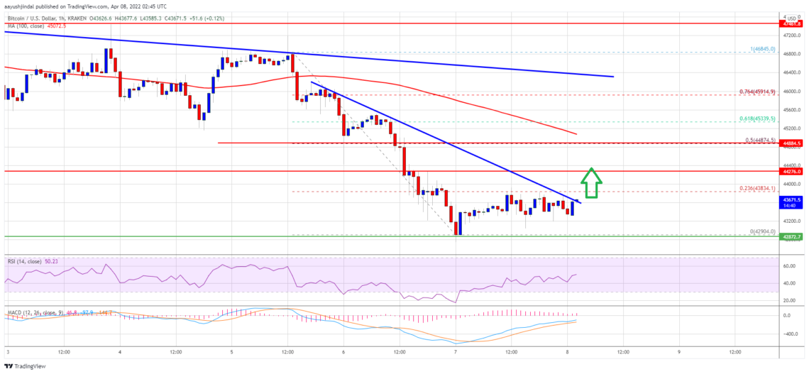 bitcoin btc fiyat analizi 43 000 dolarda stabil kaldi sirada ne var 8 nisan 2022 6