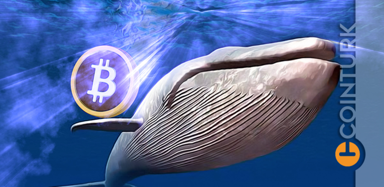 Bitcoin’de (BTC) Şaşırtan Balina Aktivitesi! Bu Ne Anlama Geliyor?
