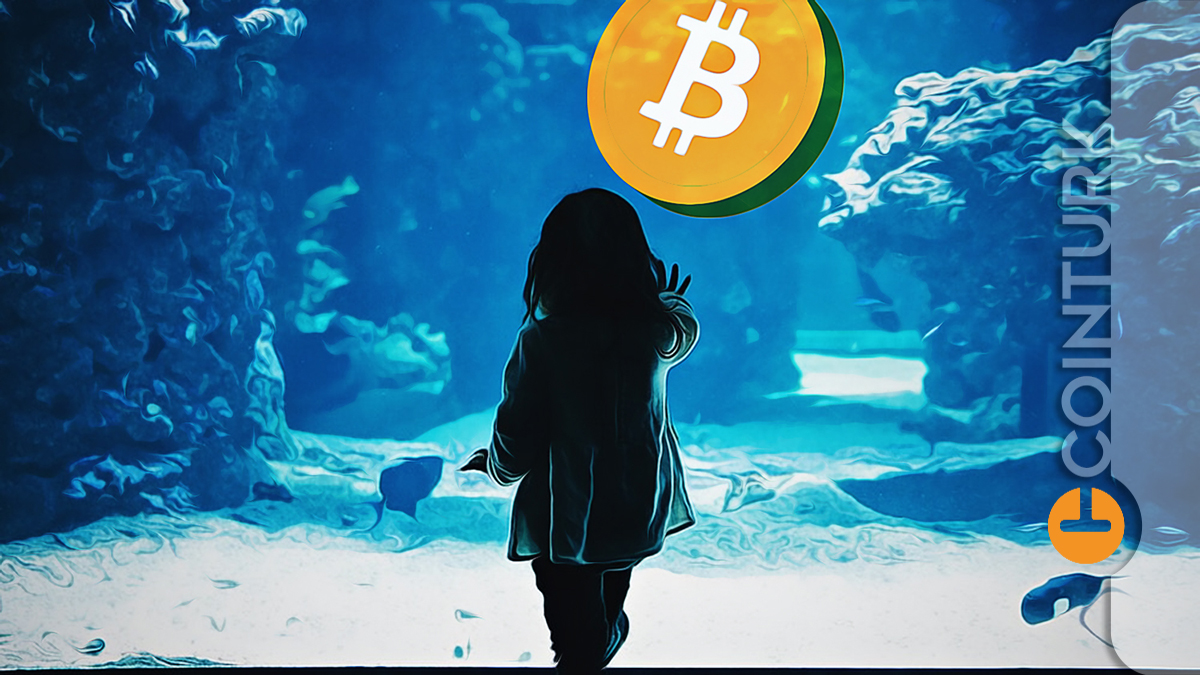 Bitcoin ve Altcoinler İçin Artık Zaman Doldu! Cowen Uyarıyor!