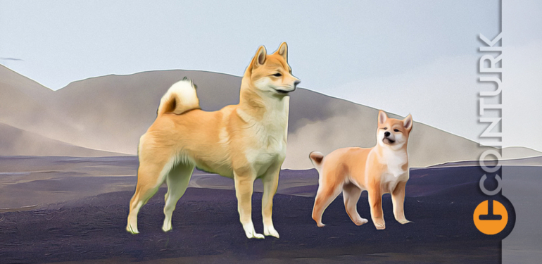 Dogecoin Kaç TL? Shiba Coin Fiyat Grafiği, Pitbull Coin!