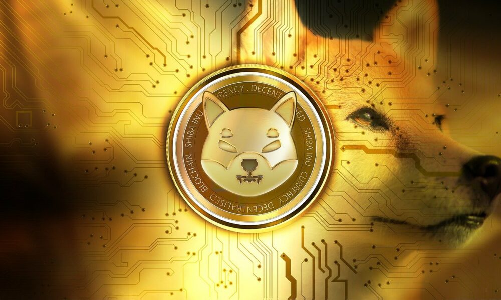 Shiba Inu’nun, Shibarium Projesinin Testnet’i Yakında Başlatılacak