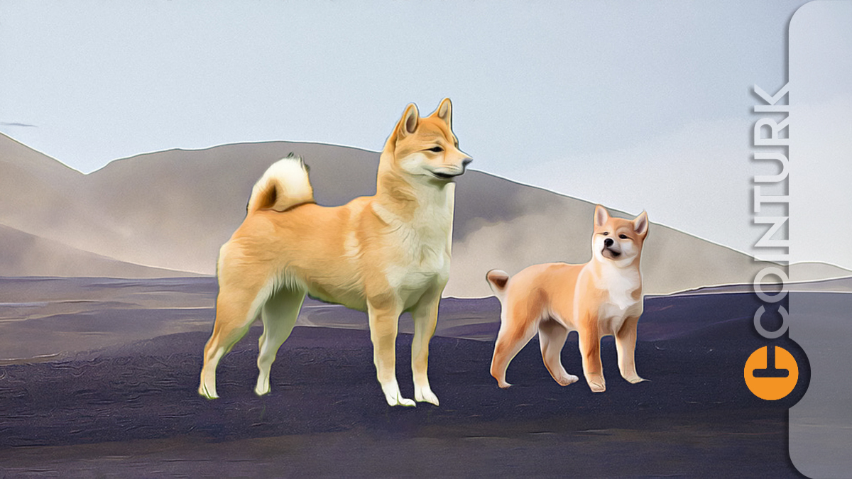 Shiba Inu (SHIB) Yorumlar! Dogecoin Ne Zaman Yükselir?