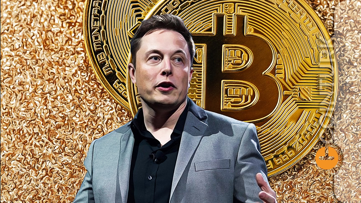 Son Dakika: Elon Musk ve Yeni Bitcoin (BTC) Ortaklığı!