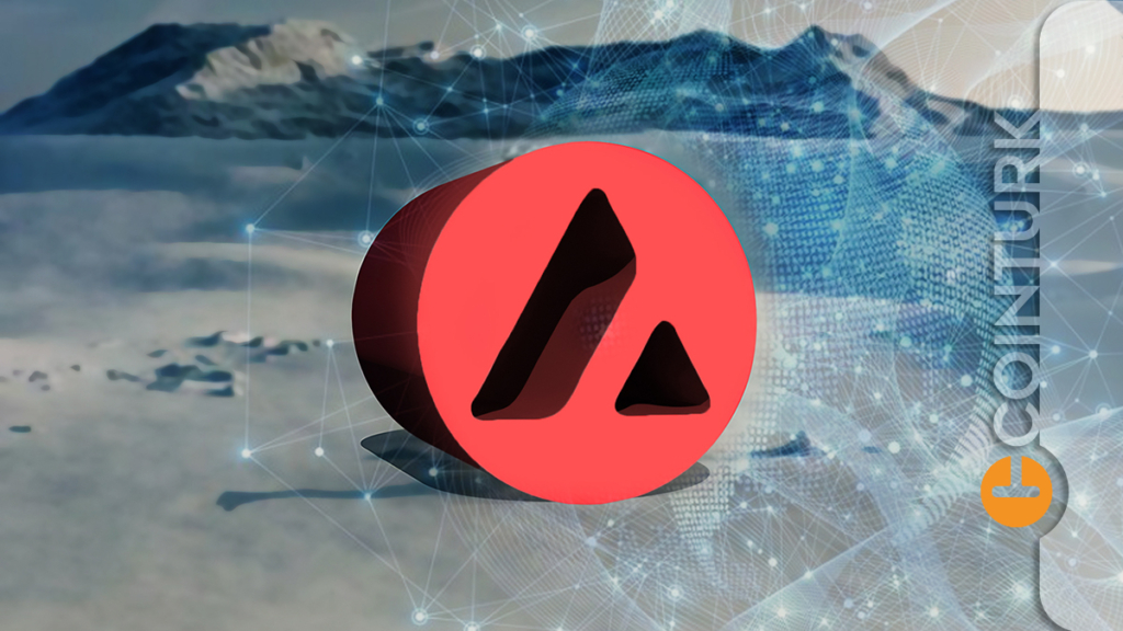 Avalanche Yetkililerinden Bu Altcoin’e Süpriz Teklif!