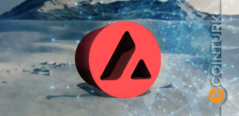 avax-kurucusu-altcoin-yatirimcilarini-uyardi - Crypto Turkey AVAX Kurucusu Altcoin Yatırımcılarını Uyardı!