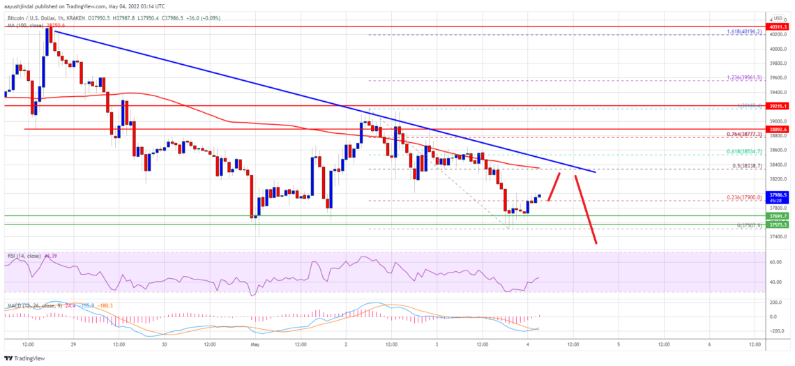 bitcoin btc fiyat analizi 37 000 dolari yeniden test etti sirada ne var 4 mayis 2022 5