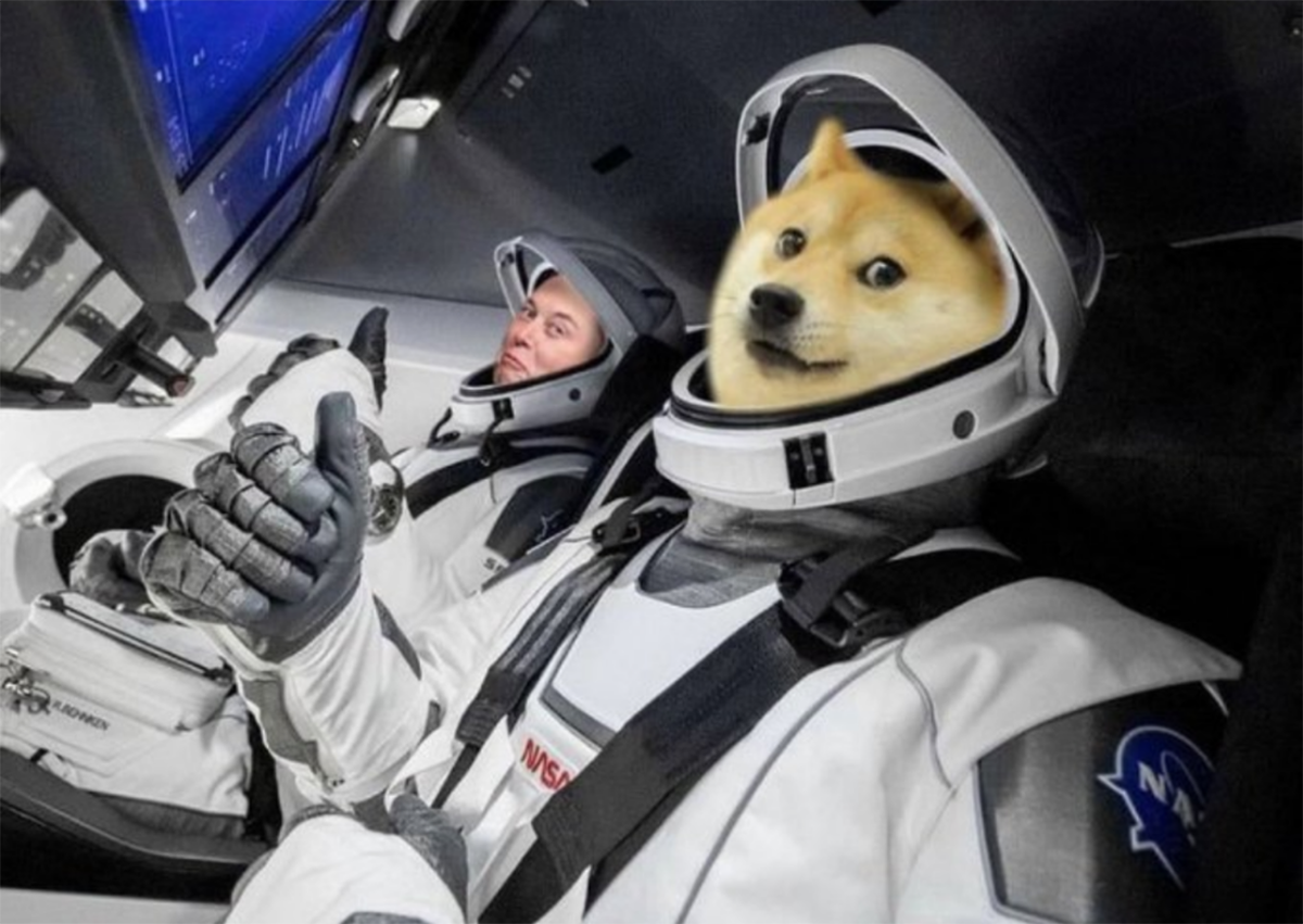 Dogecoin, Elon MuskâÄ±n SNL ÃÄ±kÄ±ÅÄ±nÄ±n ArdÄ±ndan Zirvesinden %87 DÃ¼ÅÃ¼Å YaÅadÄ±