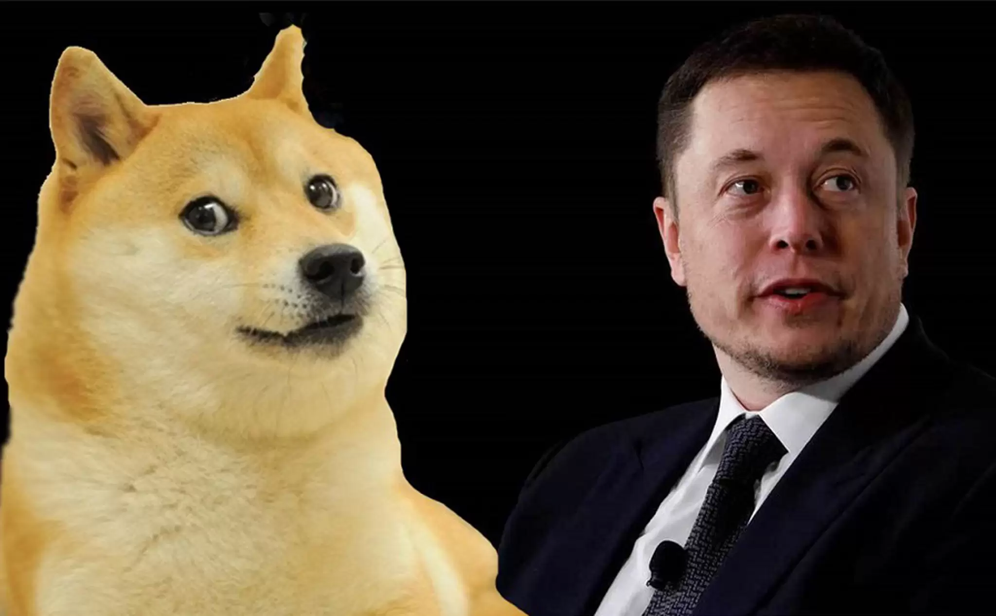 Elon Musk ile Dogecoin (DOGE) Kurucu Ortağı Arasında Dikkat Çeken Sürtüşme!