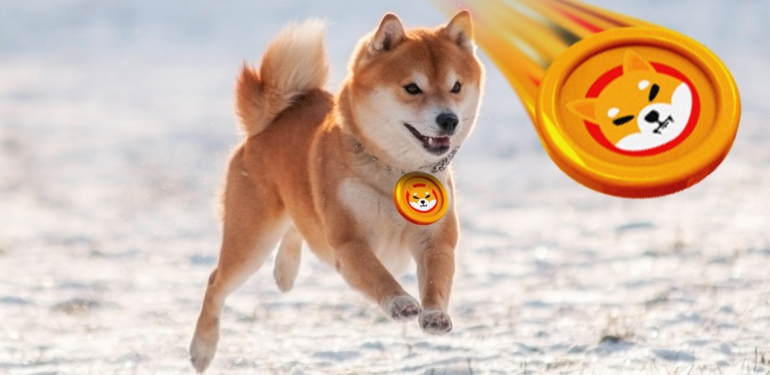 fiyat-performansina-ragmen-shiba-inu-ya-shib-olan-ilgi-yukseliyor - Crypto Turkey Fiyat Performansına Rağmen Shiba Inu’ya (SHIB) Olan İlgi Yükseliyor