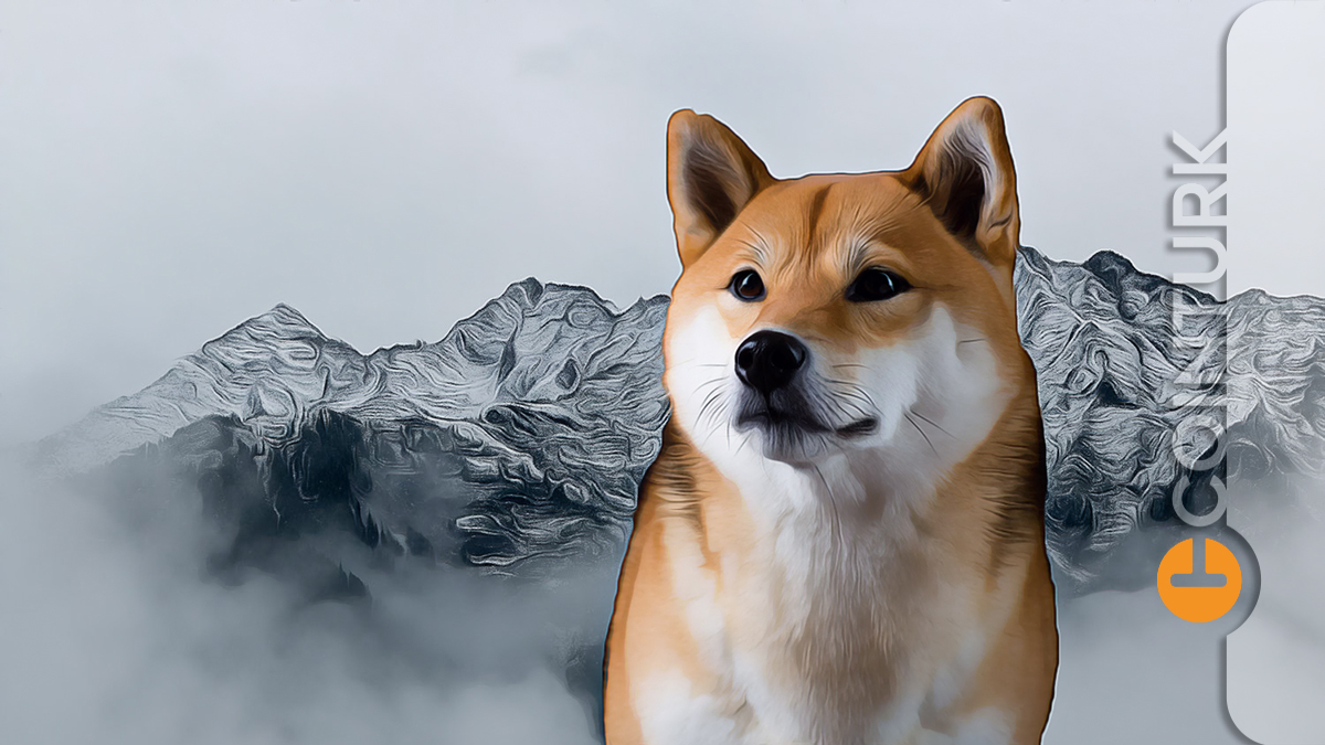 Shiba Coin Ne Zaman Yükselebilir? Shiba Kaç Dolar?