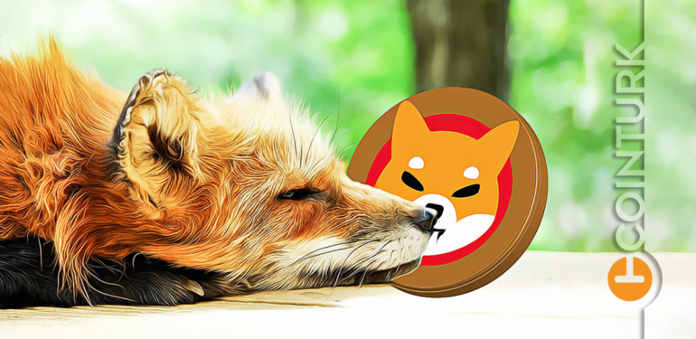 Shiba Inu Kurucusundan Açıklama! SHIB Yatırımcıları Neden Tedirgin?