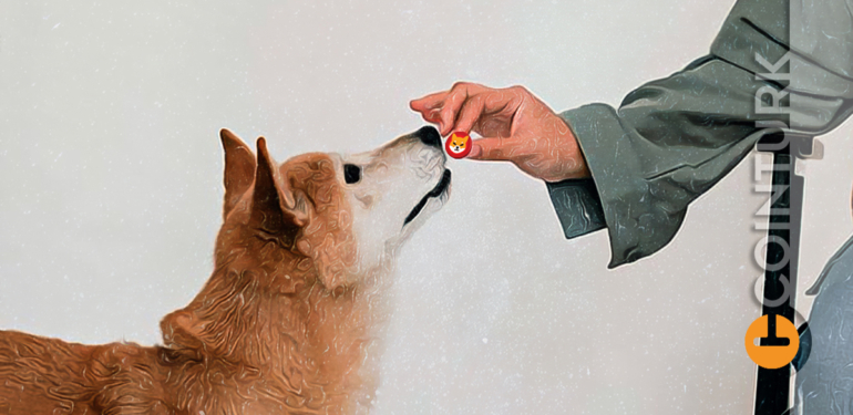 Shiba Inu Yatırımcılarını Neler Bekliyor? Shiba Coin Yorumları!