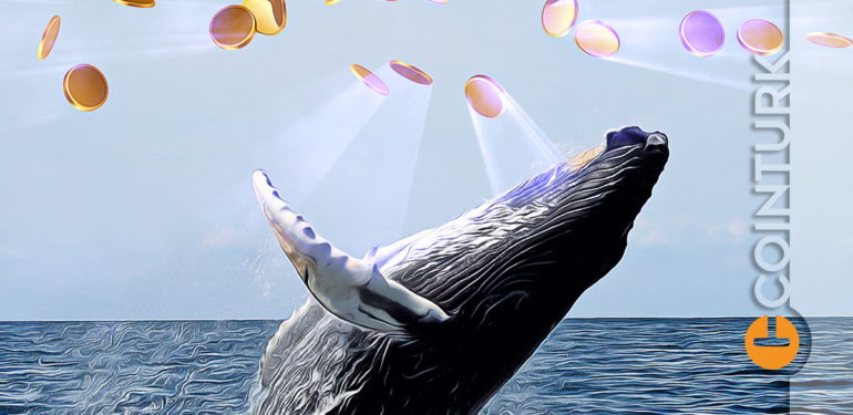 balinalar-altcoin-topluyor-link-dahil-8-kripto-para-var - Crypto Turkey Balinalar Altcoin Topluyor! LINK Dahil 8 Kripto Para Var!