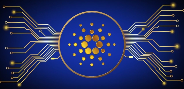 balinalar-bu-coinde-alimlarini-hizlandirdi-yukseltmeyi-bekliyorlar - Crypto Turkey Balinalar Bu Coinde Alımlarını Hızlandırdı! Yükseltmeyi Bekliyorlar!