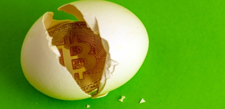 bitcoin-mi-yumurtadan-yumurta-mi-bitcoin-den-fed-den-bir-garip-rapor - Crypto Turkey Bitcoin Mi Yumurtadan, Yumurta Mı Bitcoin’den? FED’den Bir Garip Rapor!