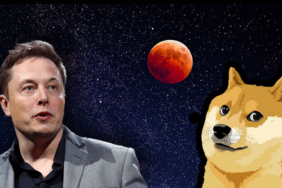 Elon Musk, Kripto Para Piyasası ve Dogecoin Hakkında Konuştu
