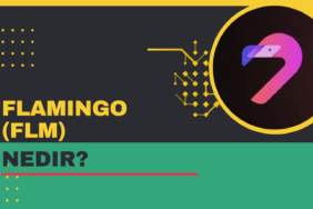 FLM Coin Nedir? Flamingo (FLM) Coin Yorum ve Geleceği