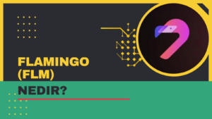 FLM Coin Nedir? Flamingo (FLM) Coin Yorum ve Geleceği