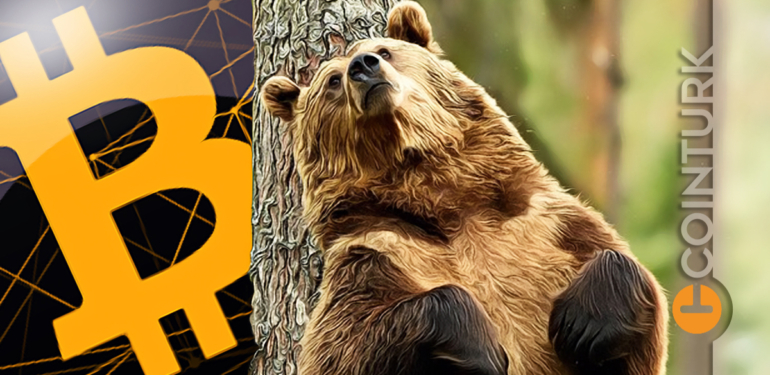 kripto-para-ayi-piyasasinda-hayatta-kalmak-5-onemli-soru - Crypto Turkey Kripto Para Ayı Piyasasında Hayatta Kalmak! 5 Önemli Soru!