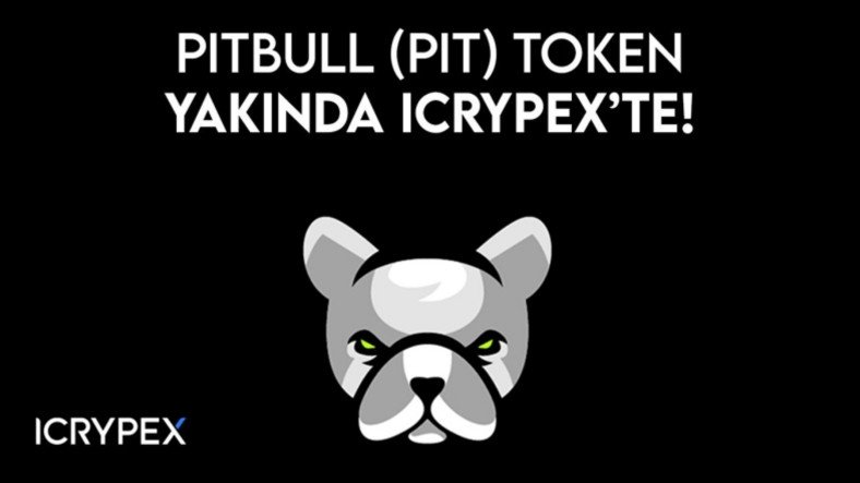 Kripto Para Borsası ICRYPEX, Pitbull Token’i (PIT) Listeleyecek: 30 TL Bitcoin, 30 TL Pitbull Hediye!