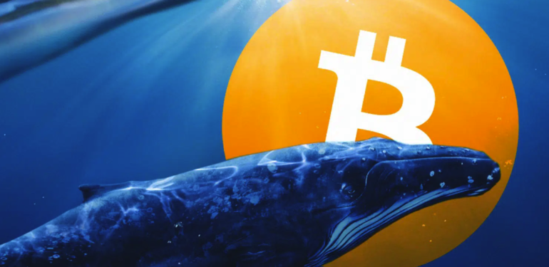 mega-bitcoin-balinalarinda-dikkat-ceken-hareketlilik-1-yilin-en-yuksek-seviyesi - Crypto Turkey Mega Bitcoin Balinalarında Dikkat Çeken Hareketlilik: 1 Yılın En Yüksek Seviyesi