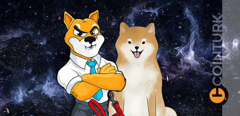 meme-coinlerde-son-durum-shiba-dogecoin-ve-digerleri - Crypto Turkey Meme Coinlerde Son Durum! Shiba, Dogecoin ve Diğerleri!