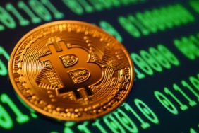 Nic Carter eleştirilere cevap verdi: Bitcoin maksimalisti değilim, olmayacağım!