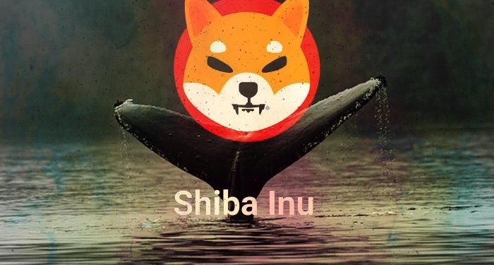 shiba-inu-aktif-balina-adres-sayisinda-yukselis-yasaniyor - Crypto Turkey Shiba Inu Aktif Balina Adres Sayısında Yükseliş Yaşanıyor