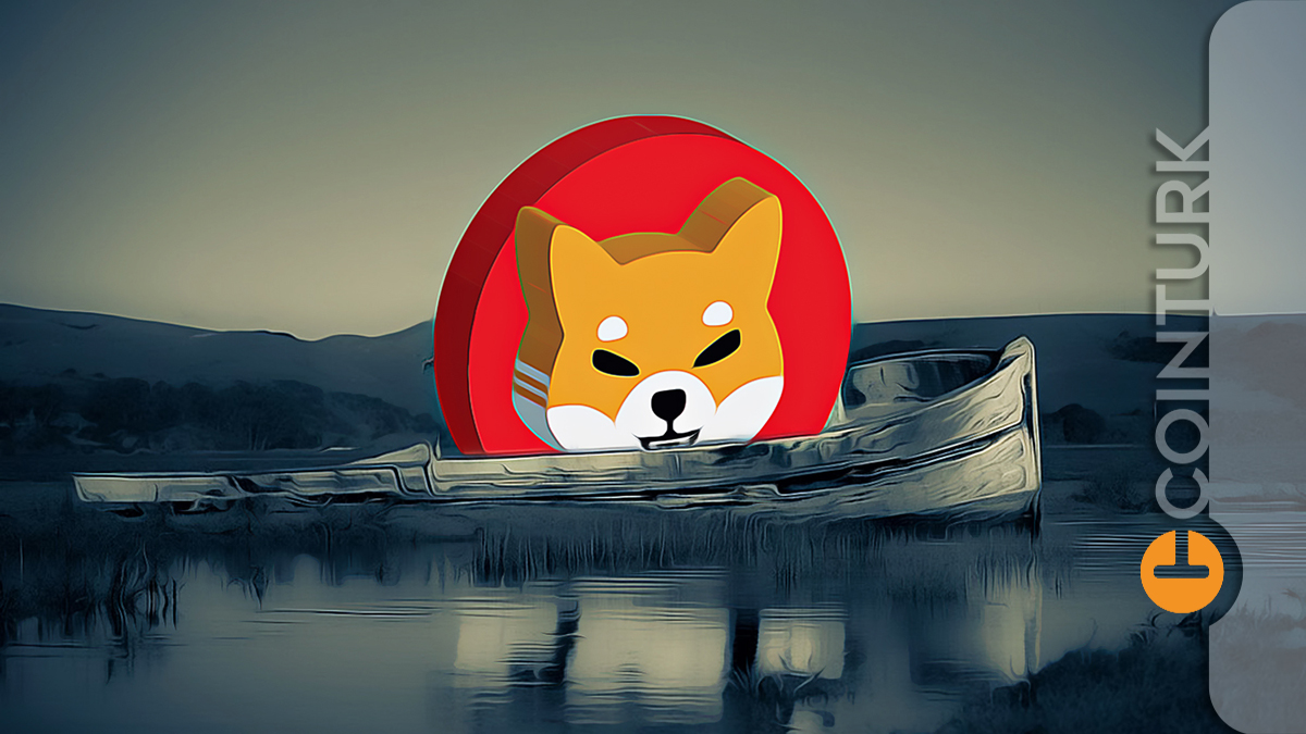 Shiba Inu (SHIB) 2022 Hedef Fiyatını Açıkladı! SHIB Ölüyor Mu?